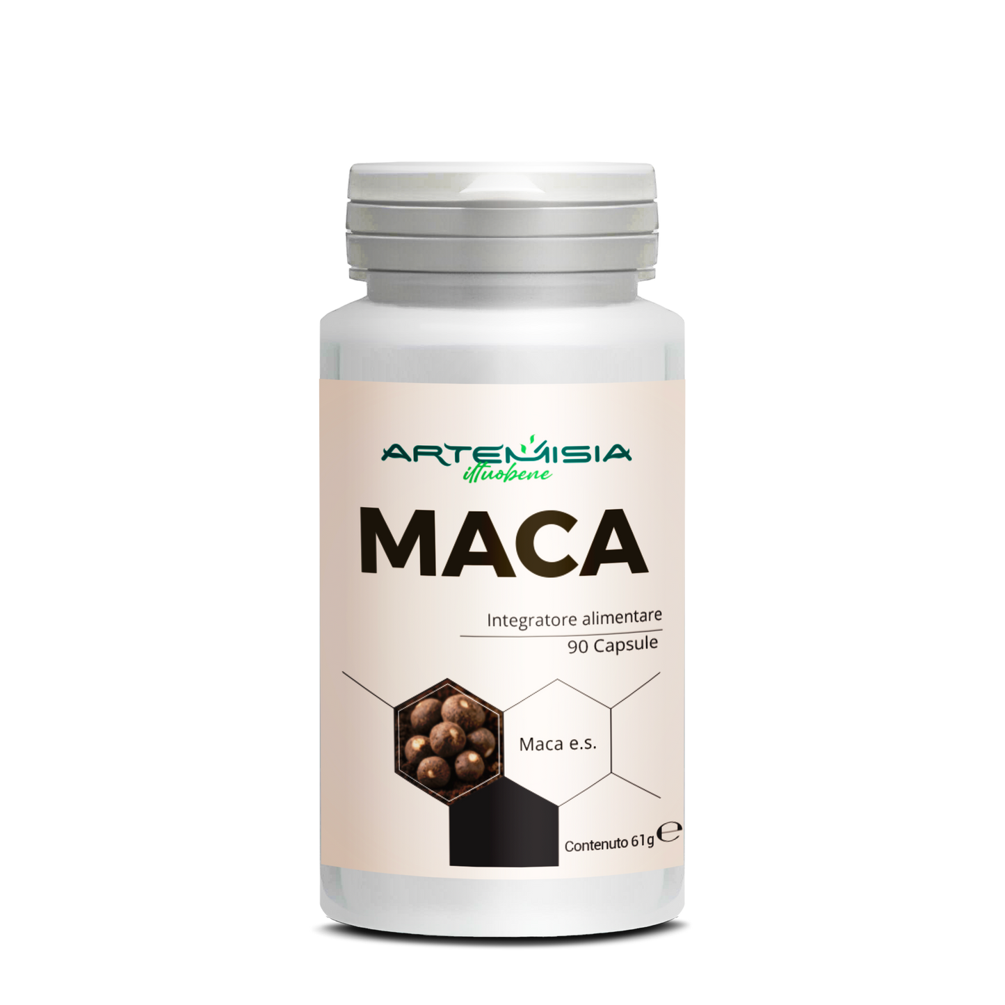 MACA