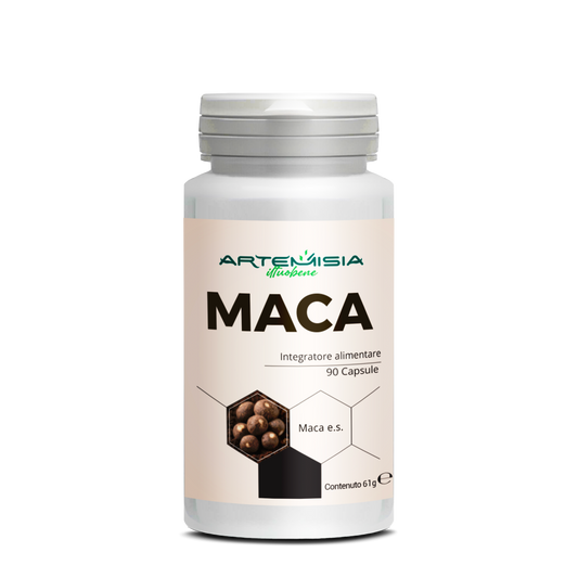 MACA